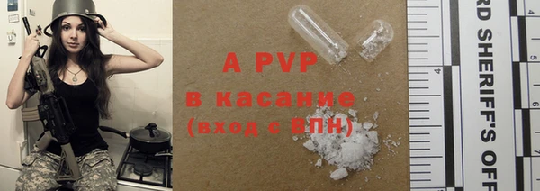 бошки Билибино