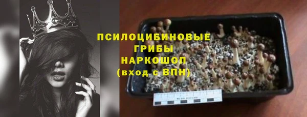 трава Богородицк