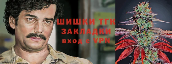 дурь Бикин