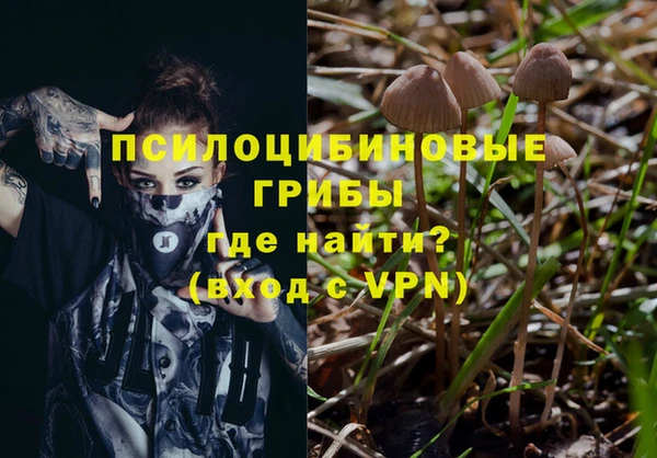синтетический гашиш Богородск