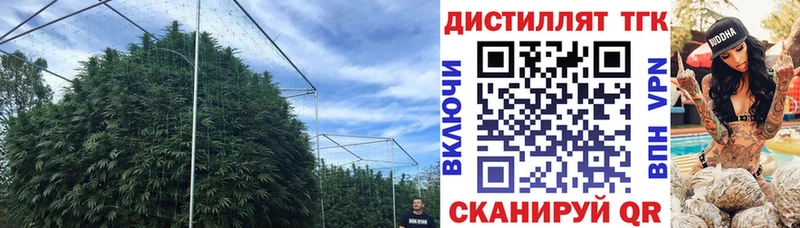 наркота  Ворсма  Дистиллят ТГК гашишное масло 